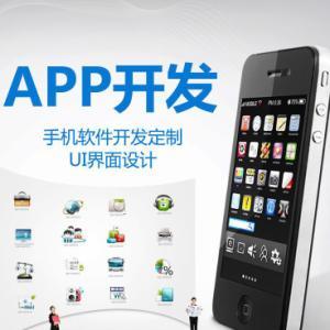 武漢APP定制開發(fā)與微信小程序設(shè)計 打造您的移動數(shù)字化解決方案